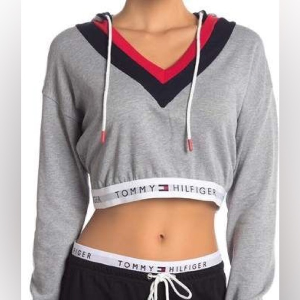 Tommy Hilfiger Cropped Retro Hoodie